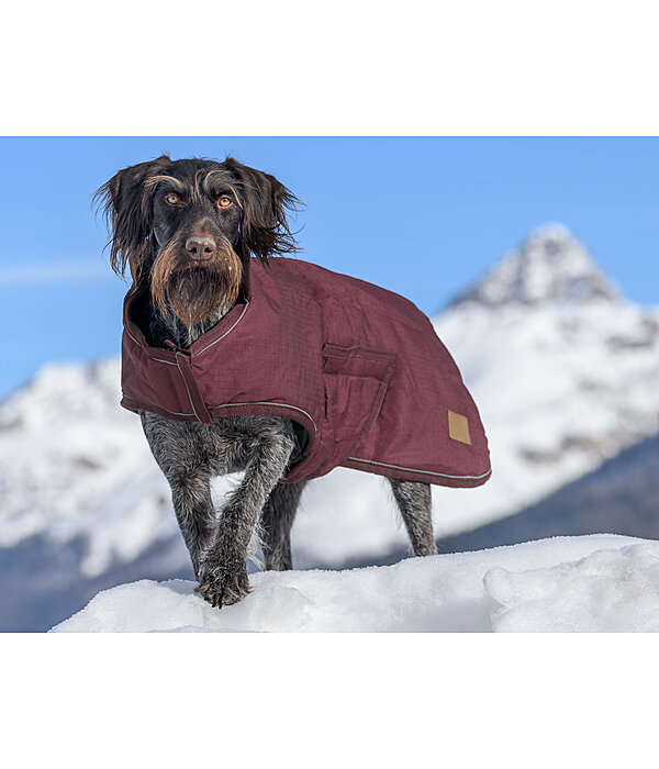 Manteau d'hiver pour chiens  Beaver Creek, 400 g
