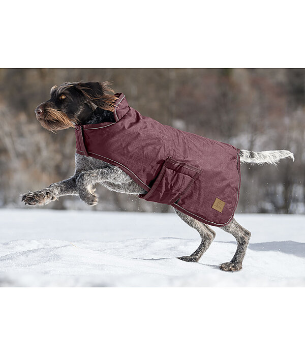Manteau d'hiver pour chiens  Beaver Creek, 400 g