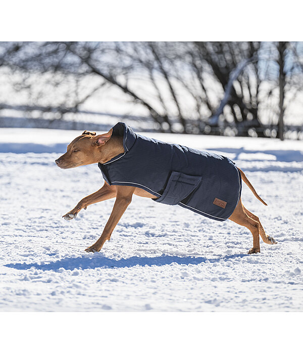 Manteau d'hiver pour chiens  Beaver Creek, 400 g