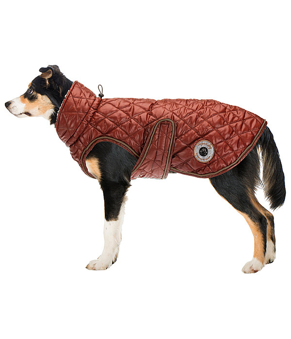 Manteau avec doublure en polaire Teddy pour chiens  Archie, 160 g