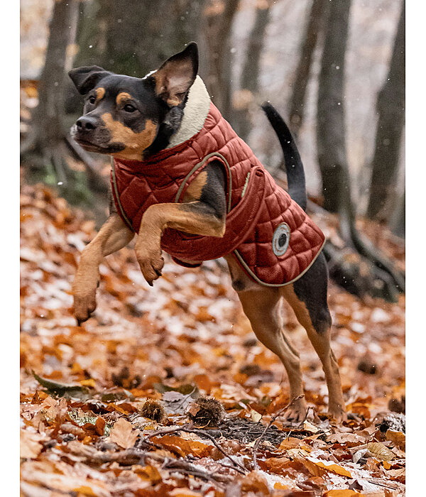 Manteau avec doublure en polaire Teddy pour chiens  Archie, 160 g