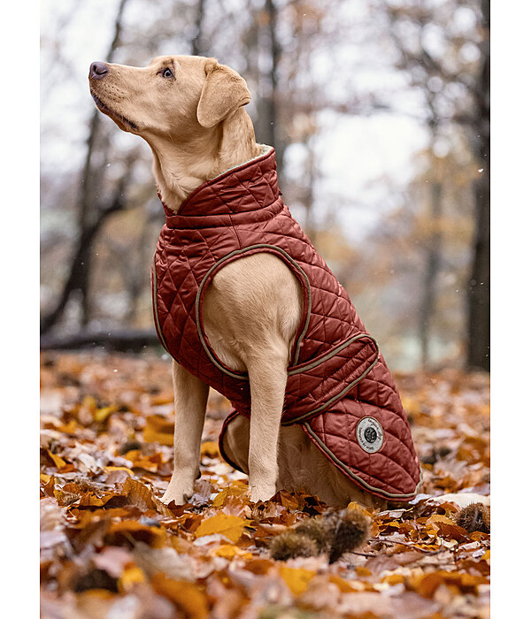 Manteau avec doublure en polaire Teddy pour chiens  Archie, 160 g