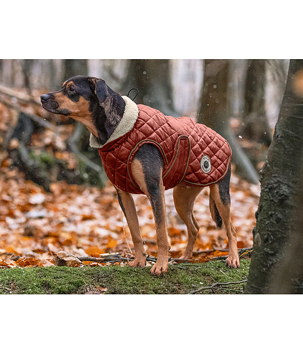 Manteau avec doublure en polaire Teddy pour chiens  Archie, 160 g