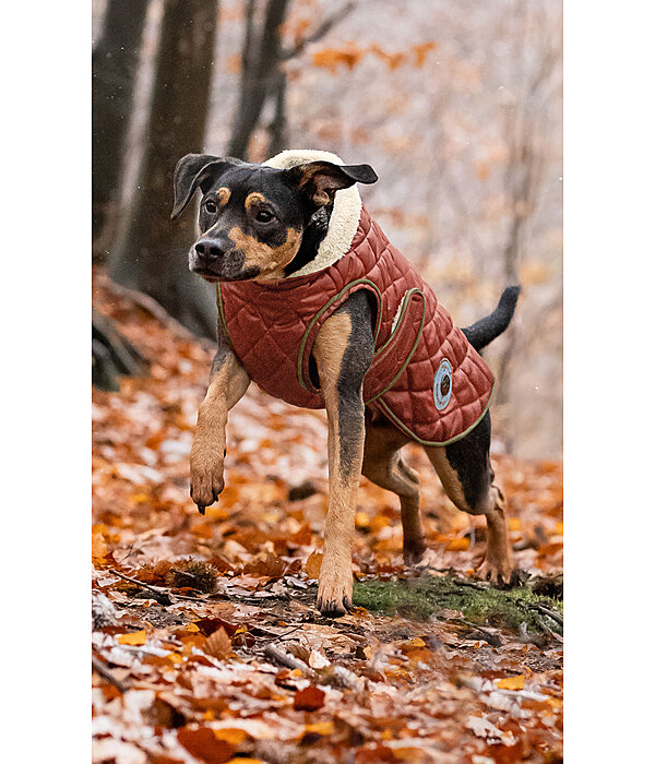 Manteau avec doublure en polaire Teddy pour chiens  Archie, 160 g