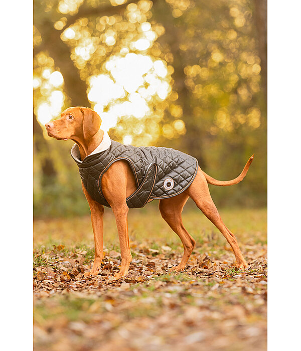 Manteau avec doublure en polaire Teddy pour chiens  Archie, 160 g