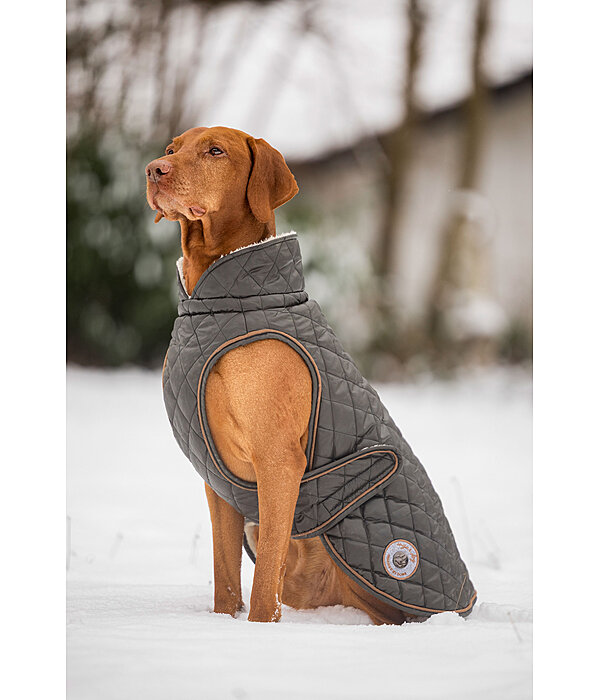 Manteau avec doublure en polaire Teddy pour chiens  Archie, 160 g