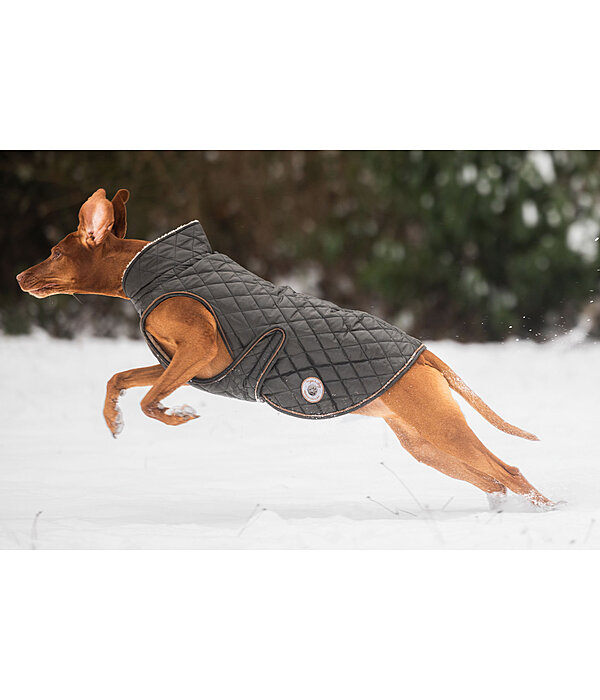 Manteau avec doublure en polaire Teddy pour chiens  Archie, 160 g