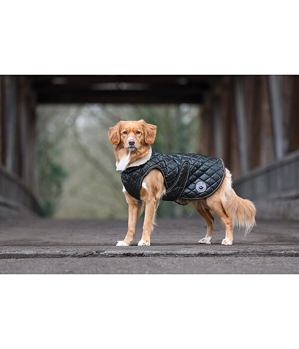 Manteau avec doublure en polaire Teddy pour chiens  Archie, 160 g