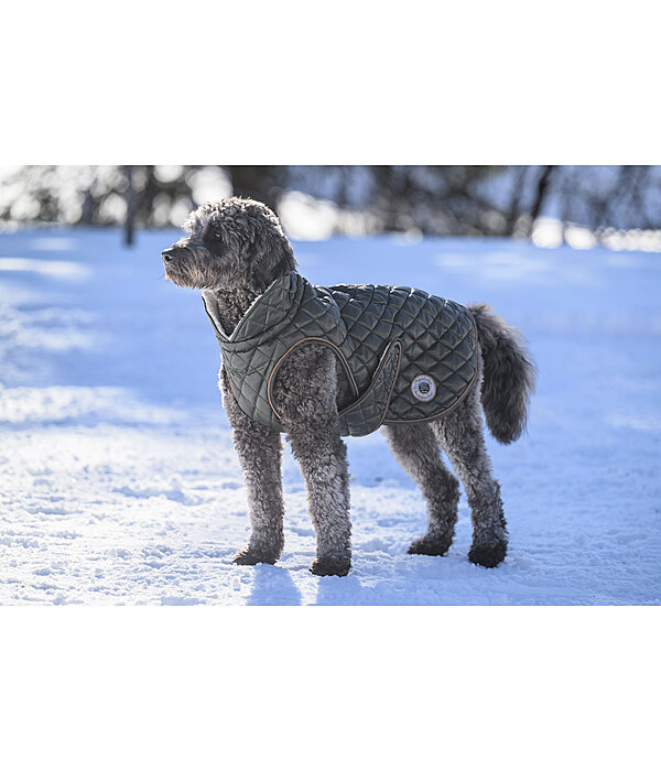 Manteau avec doublure en polaire Teddy pour chiens  Archie, 160 g