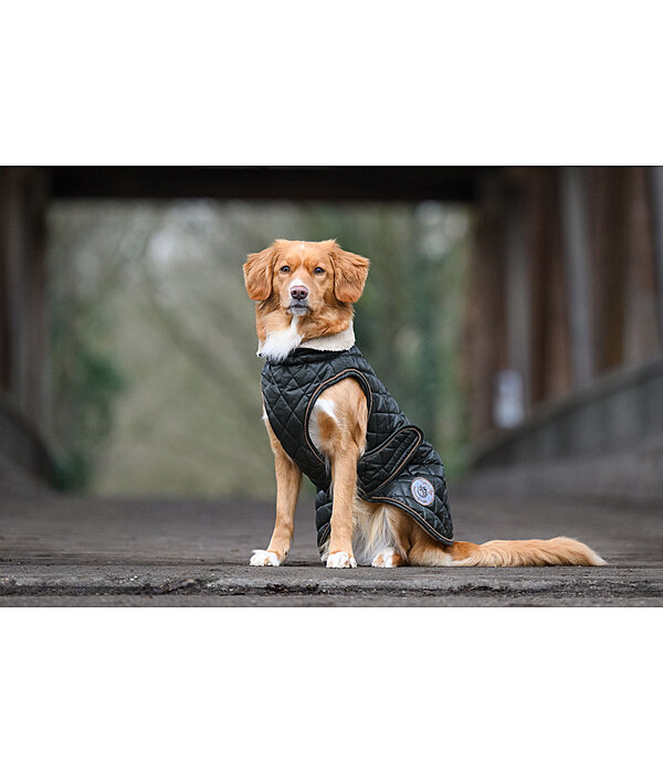 Manteau avec doublure en polaire Teddy pour chiens  Archie, 160 g