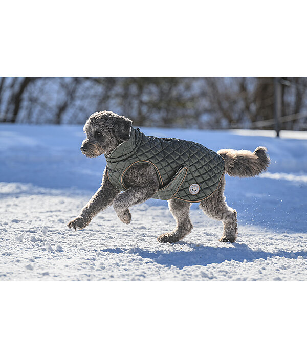 Manteau avec doublure en polaire Teddy pour chiens  Archie, 160 g