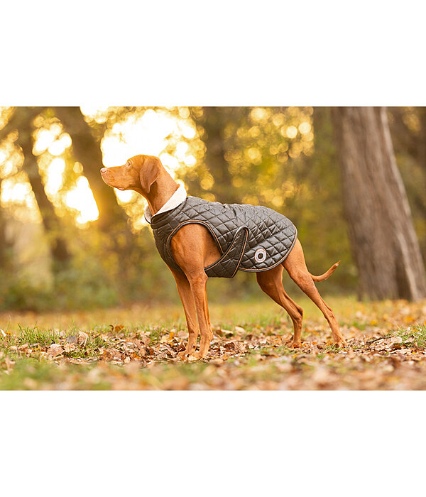 Manteau avec doublure en polaire Teddy pour chiens  Archie, 160 g