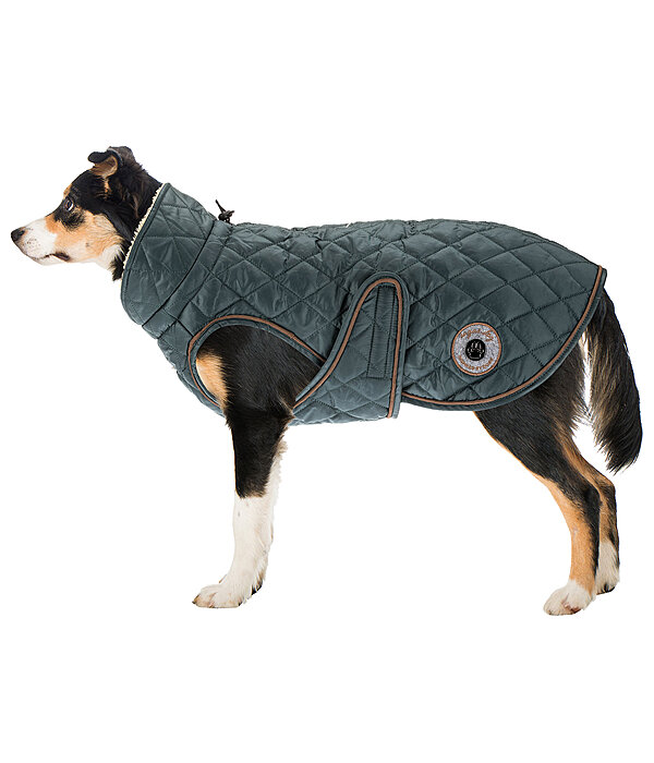 Manteau avec doublure en polaire Teddy pour chiens  Archie, 160 g