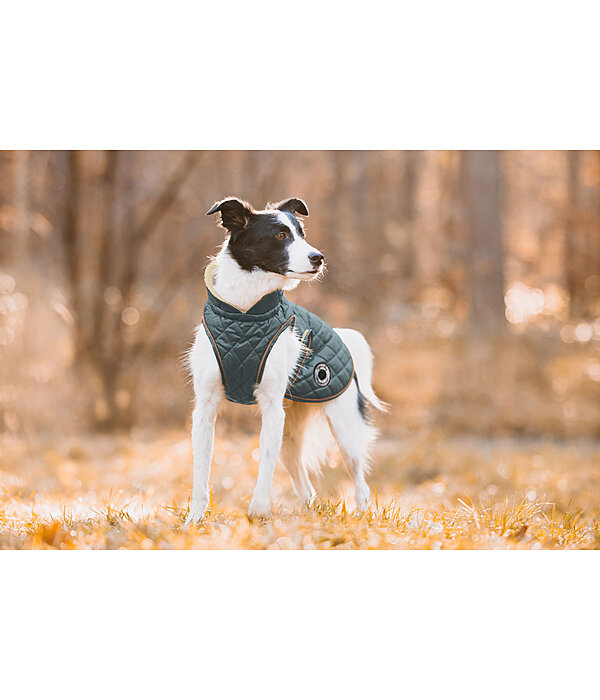 Manteau avec doublure en polaire Teddy pour chiens  Archie, 160 g