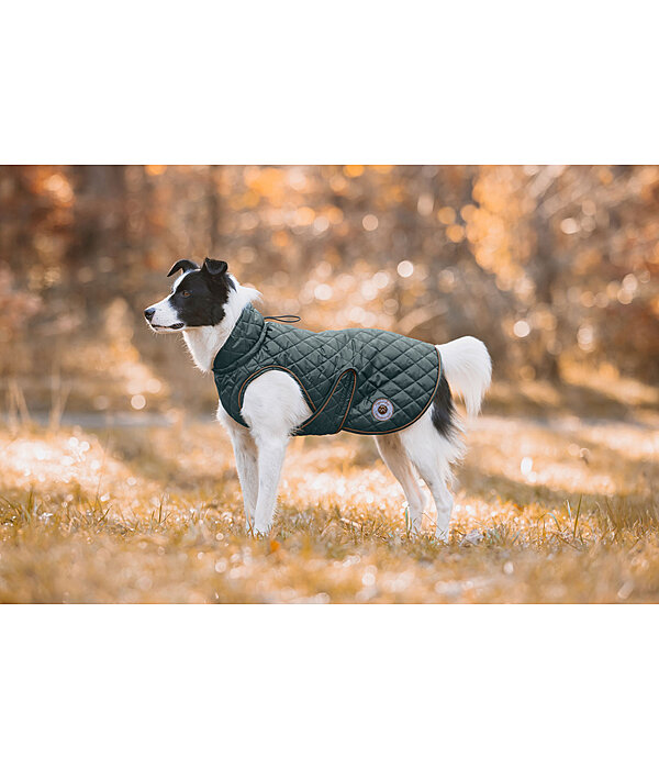 Manteau avec doublure en polaire Teddy pour chiens  Archie, 160 g