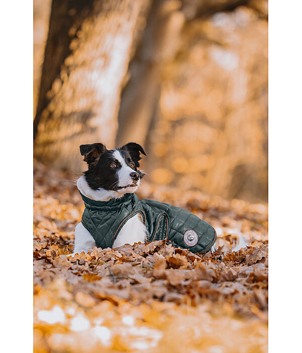 Manteau avec doublure en polaire Teddy pour chiens  Archie, 160 g