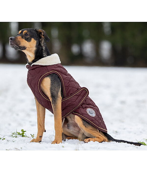 Manteau avec doublure en polaire Teddy pour chiens  Archie, 160 g