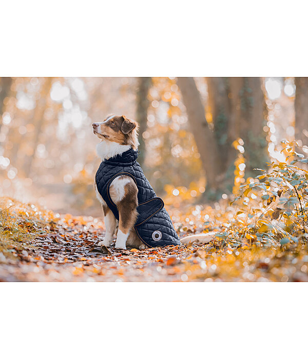 Manteau avec doublure en polaire Teddy pour chiens  Archie, 160 g