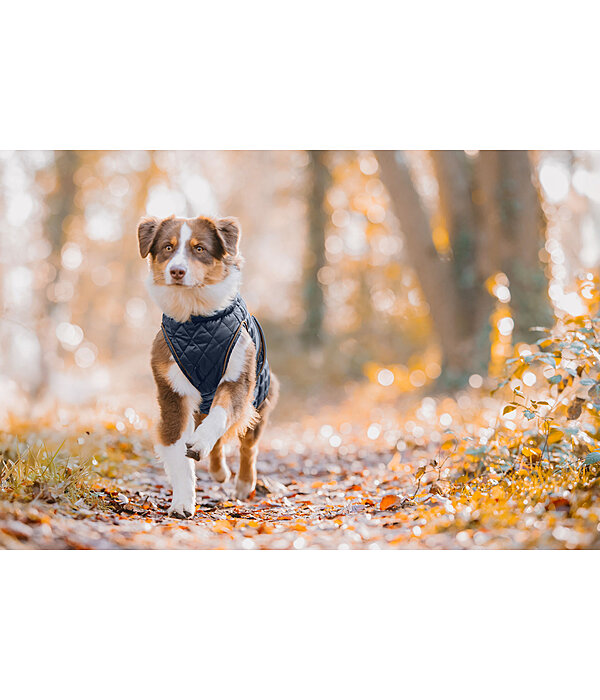 Manteau avec doublure en polaire Teddy pour chiens  Archie, 160 g