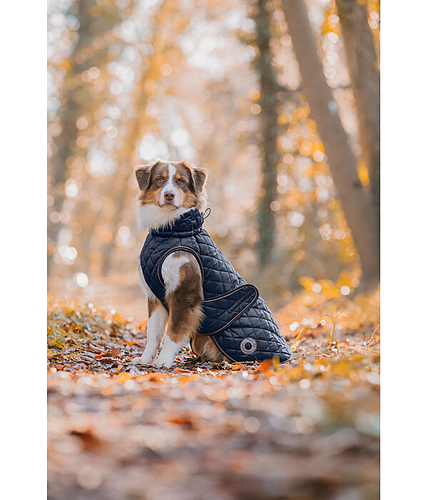 Manteau avec doublure en polaire Teddy pour chiens  Archie, 160 g