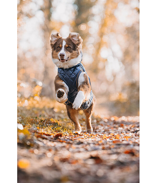 Manteau avec doublure en polaire Teddy pour chiens  Archie, 160 g