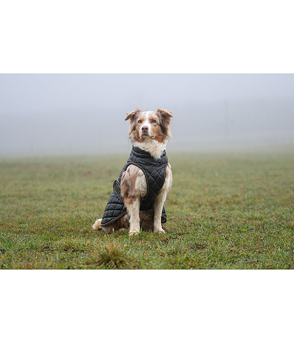 Manteau avec doublure en polaire Teddy pour chiens  Archie, 160 g