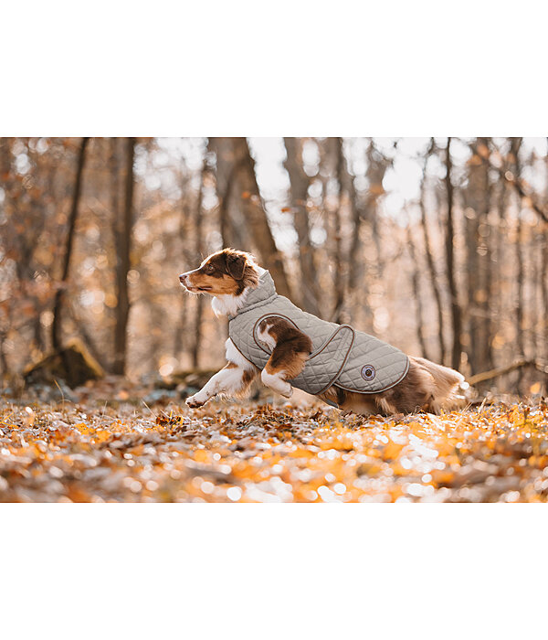 Manteau avec doublure en polaire Teddy pour chiens  Archie, 160 g