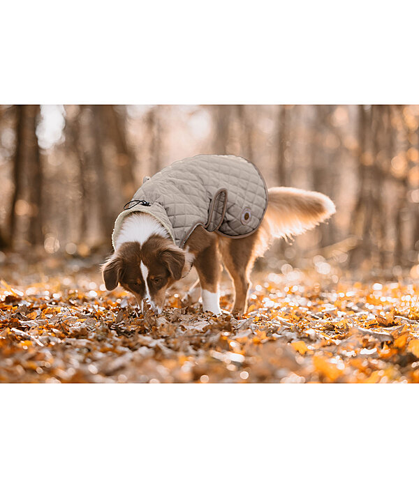 Manteau avec doublure en polaire Teddy pour chiens  Archie, 160 g