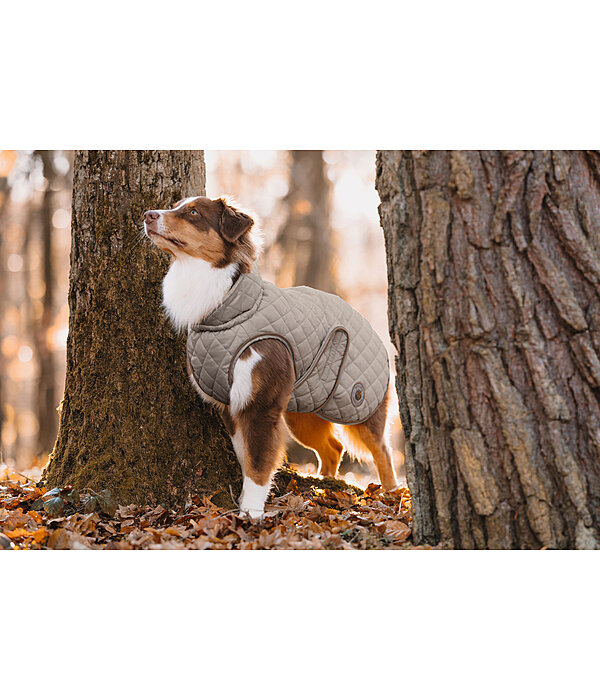 Manteau avec doublure en polaire Teddy pour chiens  Archie, 160 g