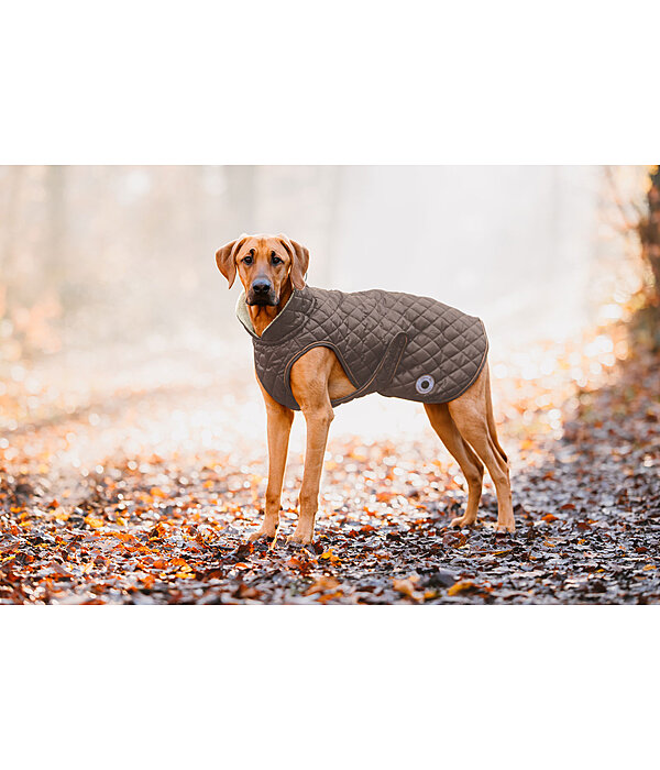 Manteau avec doublure en polaire Teddy pour chiens  Archie, 160 g