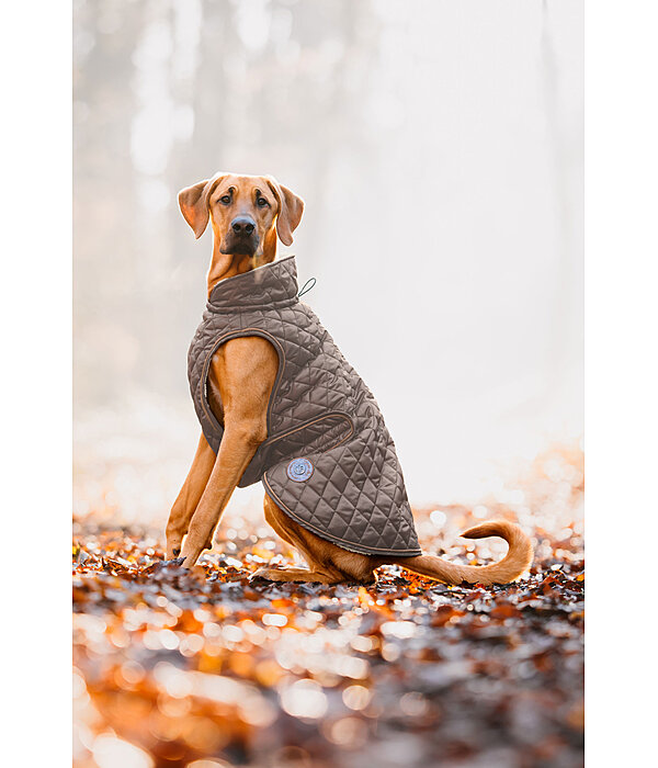 Manteau avec doublure en polaire Teddy pour chiens  Archie, 160 g
