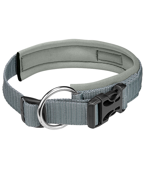 Collier pour chiens  Becks