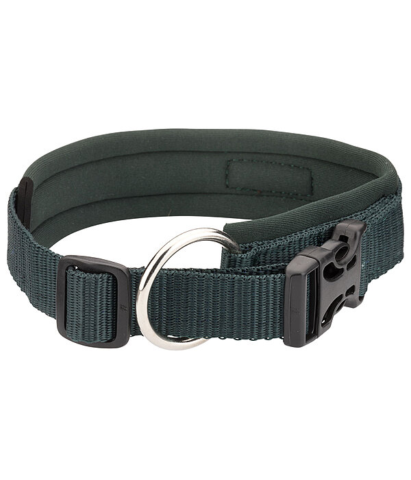 Collier pour chiens  Becks