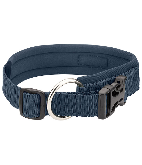 Collier pour chiens  Becks