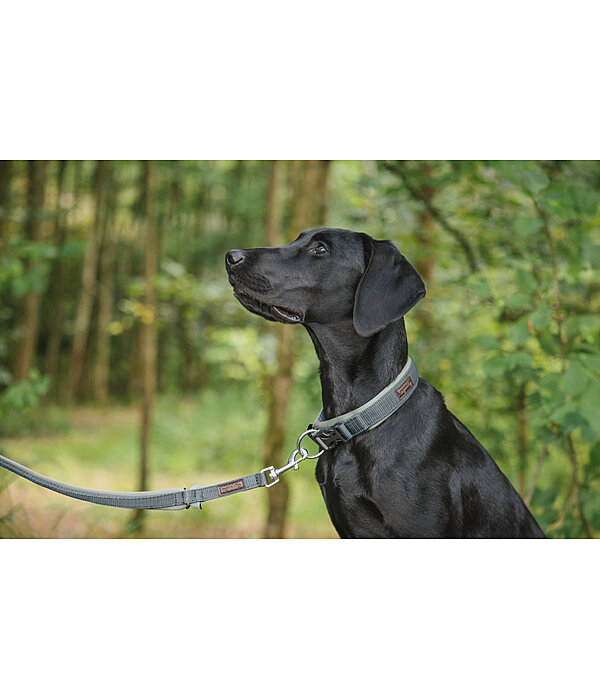 Laisse pour chiens  Jade
