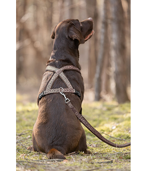 Laisse pour chiens  Jade
