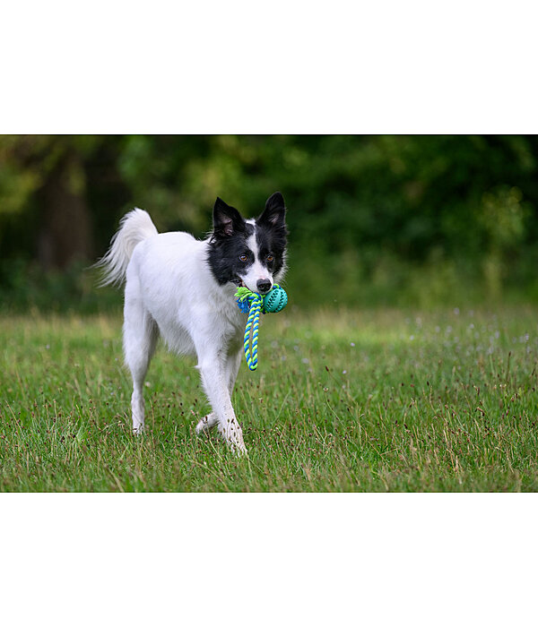 Jouet pour soins dentaires pour chiens  Cleo