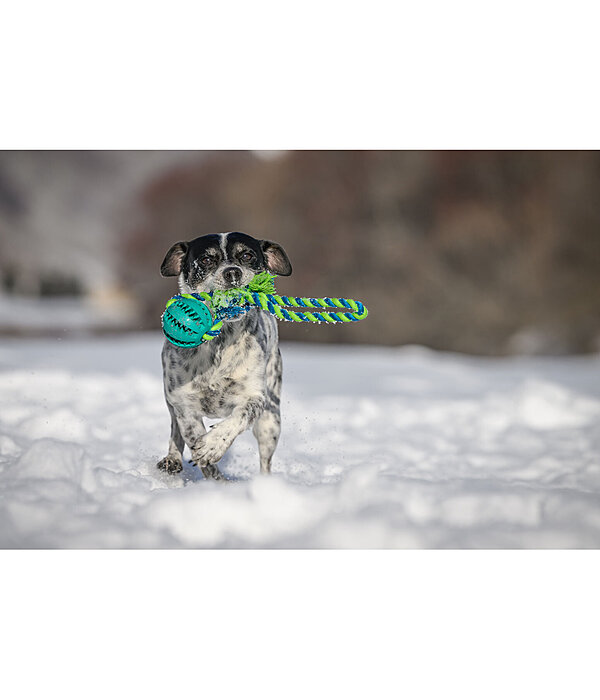 Jouet pour soins dentaires pour chiens  Cleo