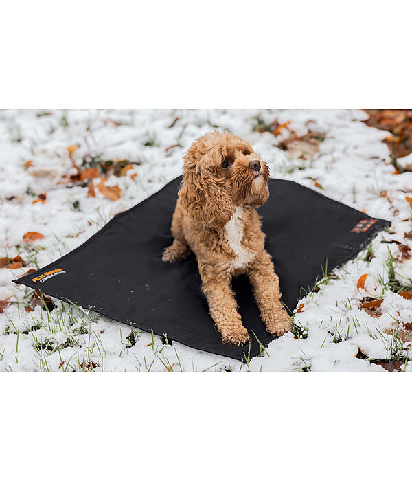 Coussin thermique pour chiens  Ceramic Rehab