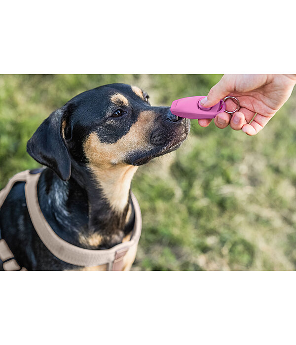 Sifflet combin avec clicker