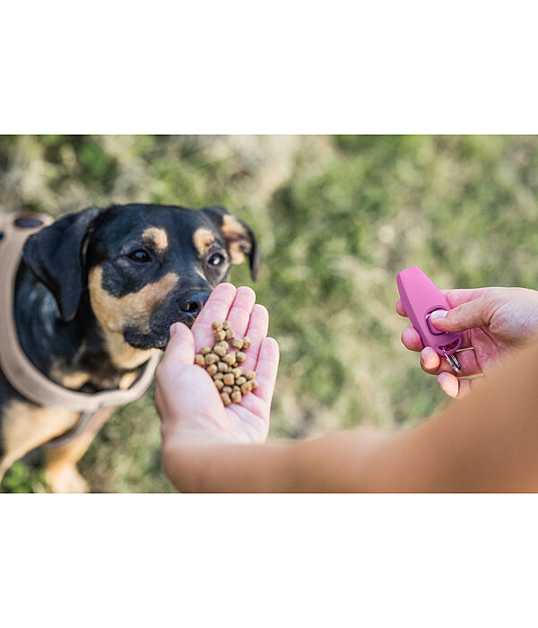 Sifflet combin avec clicker