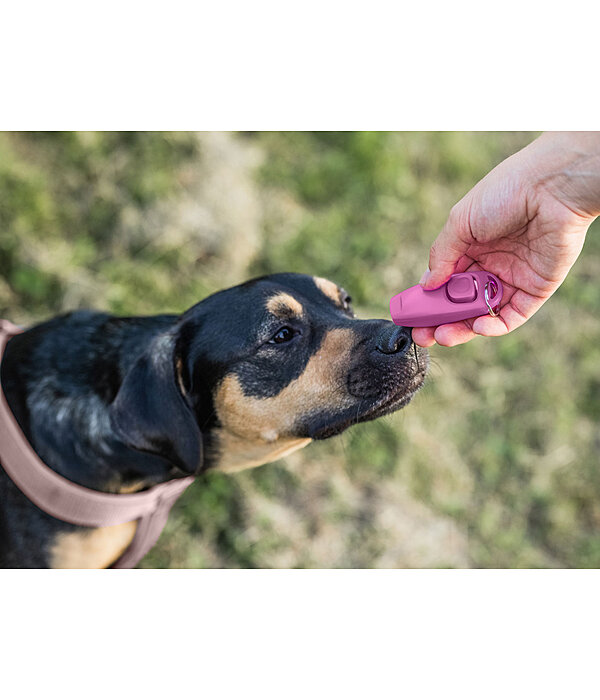 Sifflet combin avec clicker