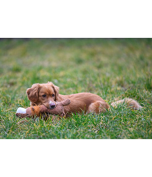 Peluche lion pour chiens  Lio