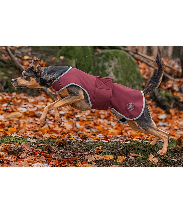 Manteau de marcheur en softshell pour chiens  Athlete, 0 g