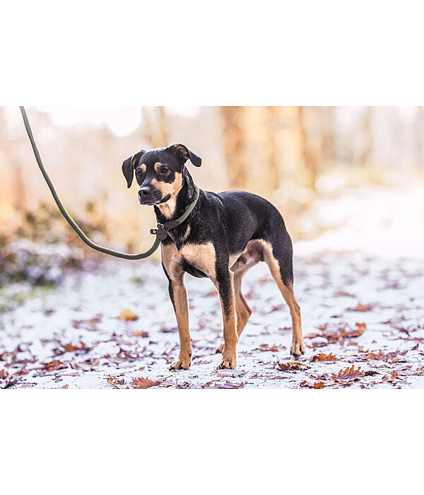 Laisse retriever  Nature Rope