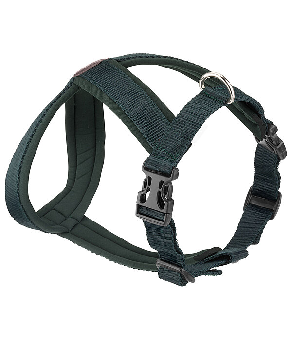 Harnais pour chiens  Piper