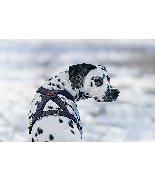 Harnais pour chiens  Piper