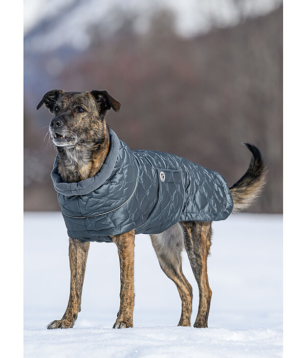 Manteau pour chiens lger matelass avec doublure polaire  Cliff, 200 g