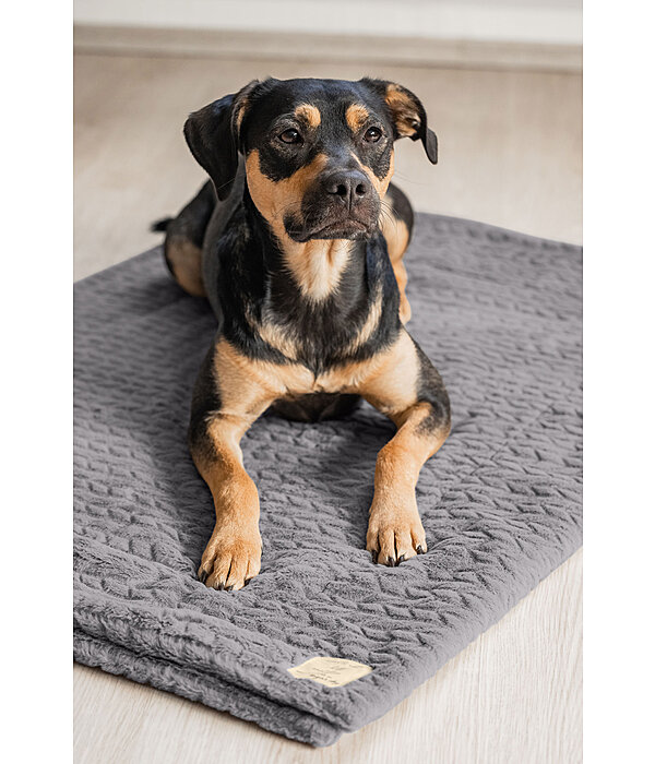 Tapis pour chiens  Chill