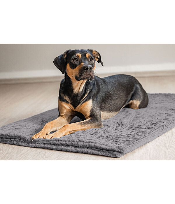 Tapis pour chiens  Chill